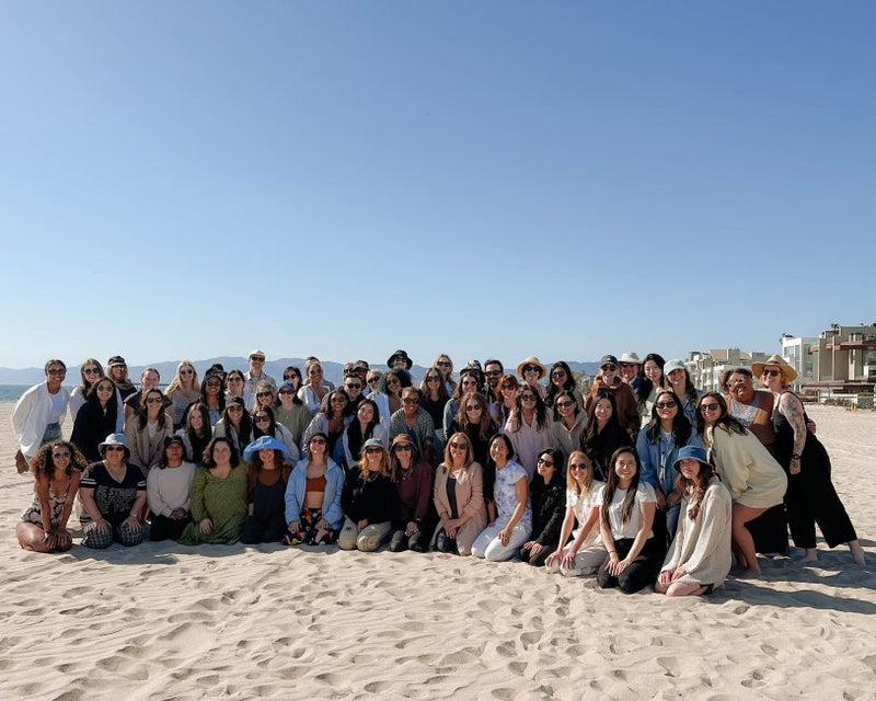 Celebrating 29 Years of OSEA: Team Reflections